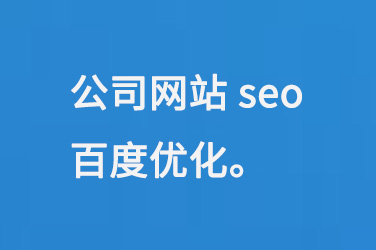 公司網(wǎng)站seo百度優(yōu)化
